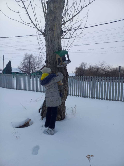 Помощь птицам.